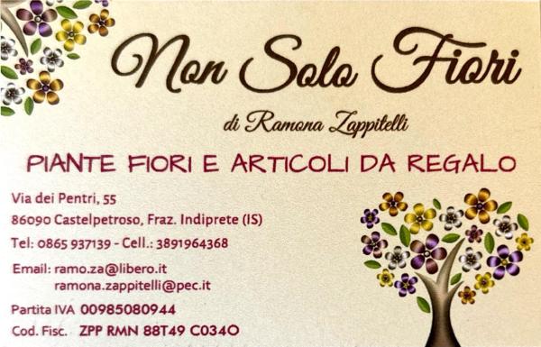 Non Solo Fiori di Ramona Zappitelli
